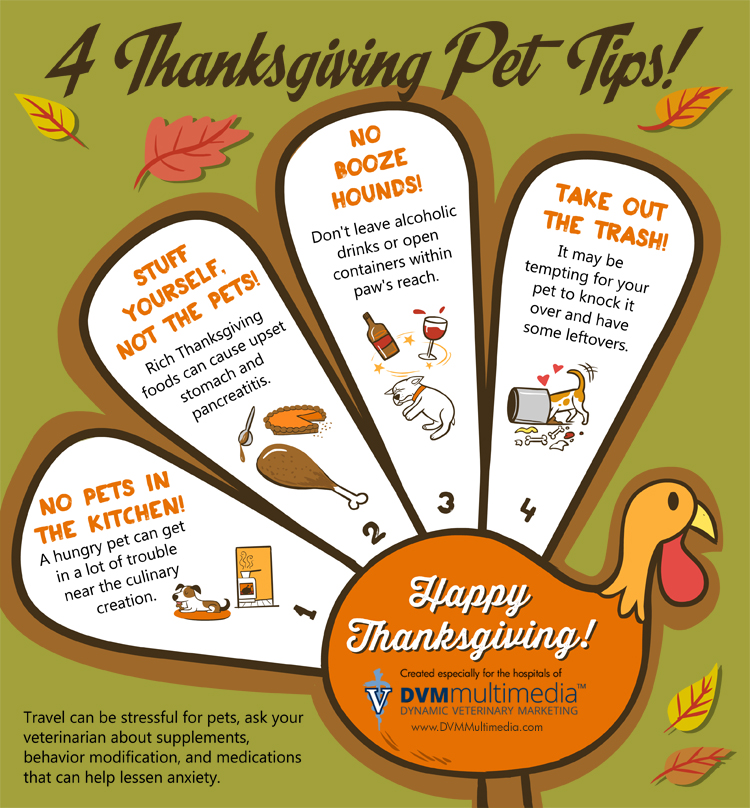 Four Thanksgiving Pet Safety Tips