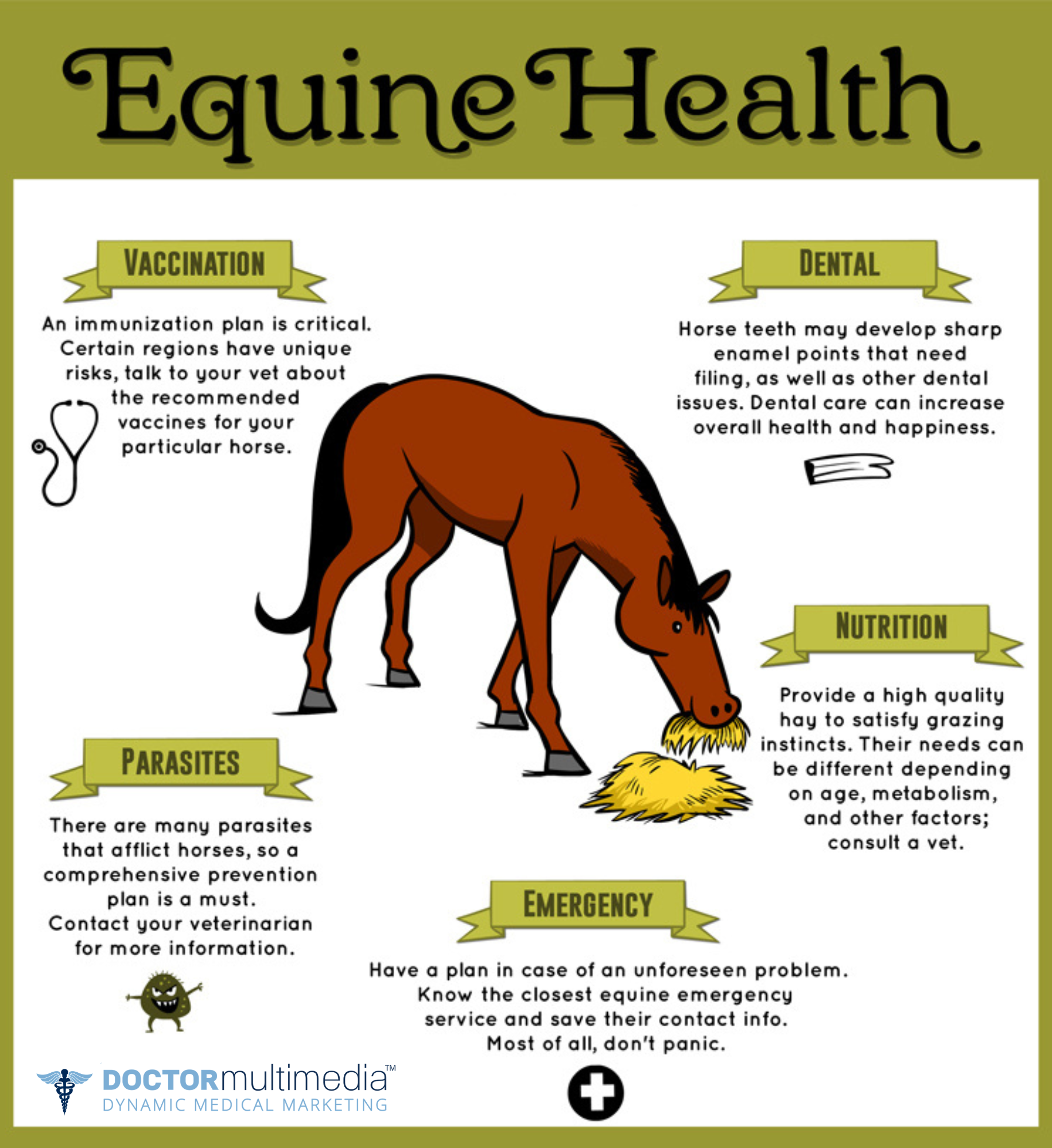 Equine Vaccination Awareness